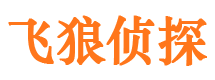 民丰市婚外情调查